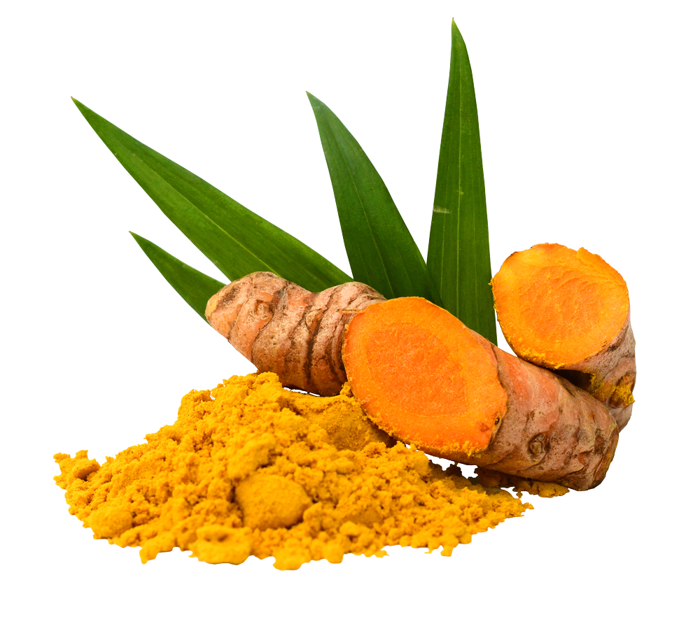 All Natural Turmeric Shea Butter Whipped Vanilla - 236 mL