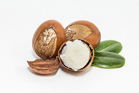 All Natural Turmeric Shea Butter Whipped Vanilla - 236 mL